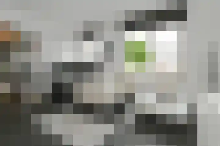 Onze Lieve Vrouwestraat 46 B 2 Ospel thumbnail 6
