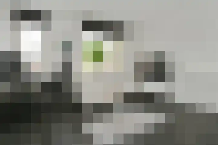Onze Lieve Vrouwestraat 46 B 2 Ospel thumbnail 7