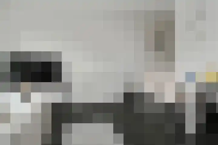 Onze Lieve Vrouwestraat 46 B 2 Ospel thumbnail 8