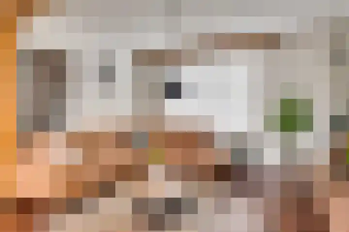 Onze Lieve Vrouwestraat 48 Ospel thumbnail 11