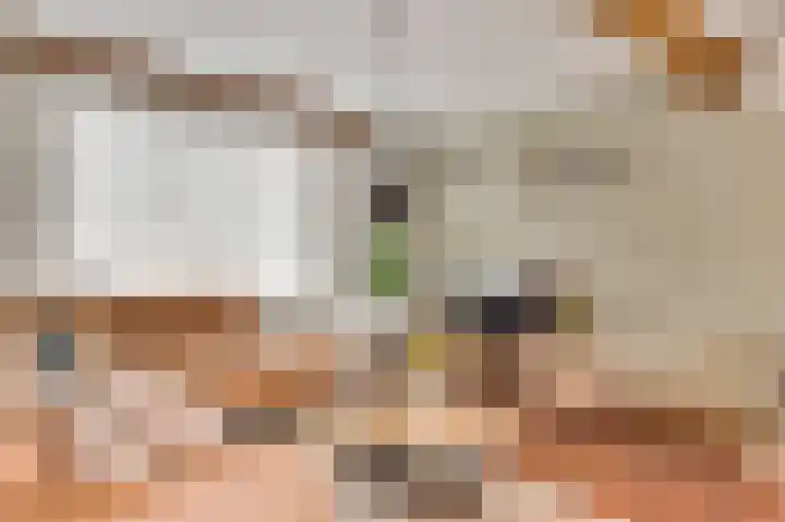 Onze Lieve Vrouwestraat 48 Ospel thumbnail 12