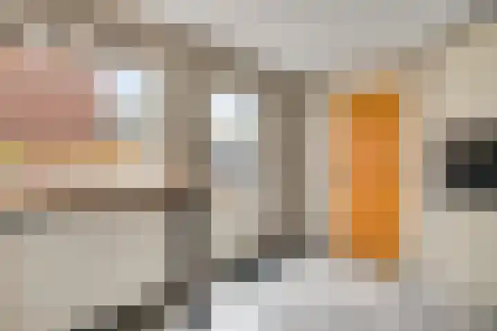 Onze Lieve Vrouwestraat 48 Ospel thumbnail 16