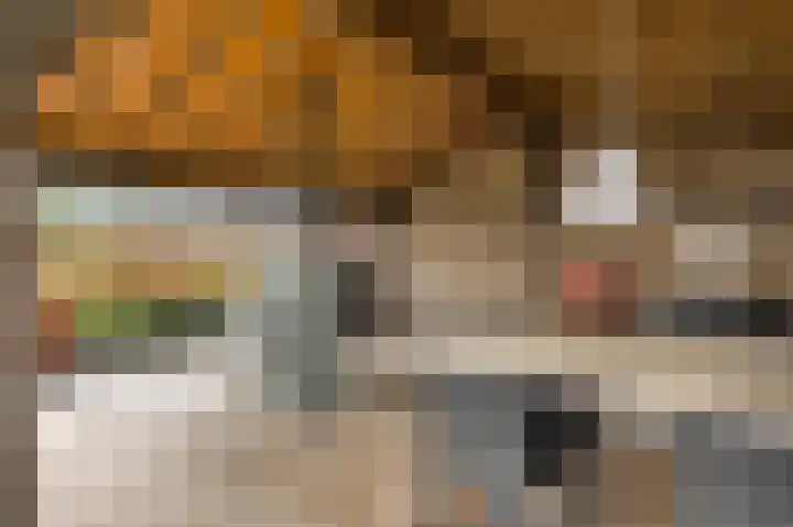 Onze Lieve Vrouwestraat 48 Ospel thumbnail 29