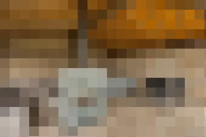 Onze Lieve Vrouwestraat 48 Ospel thumbnail 30