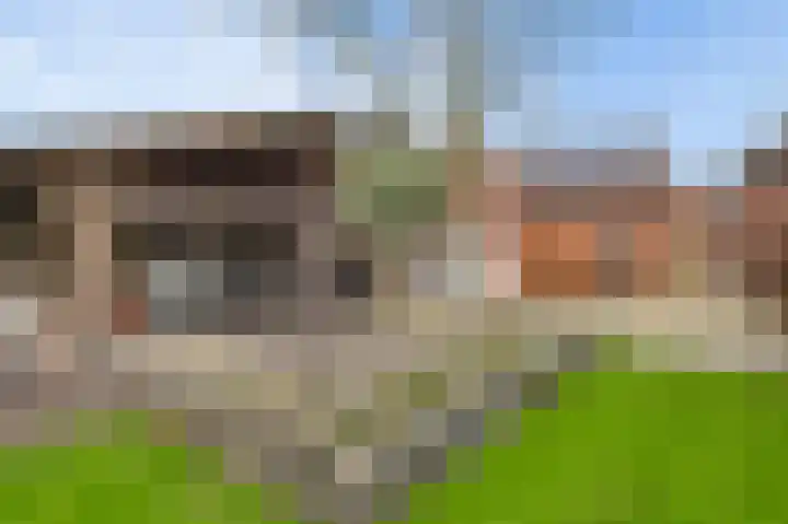 Onze Lieve Vrouwestraat 48 Ospel thumbnail 32