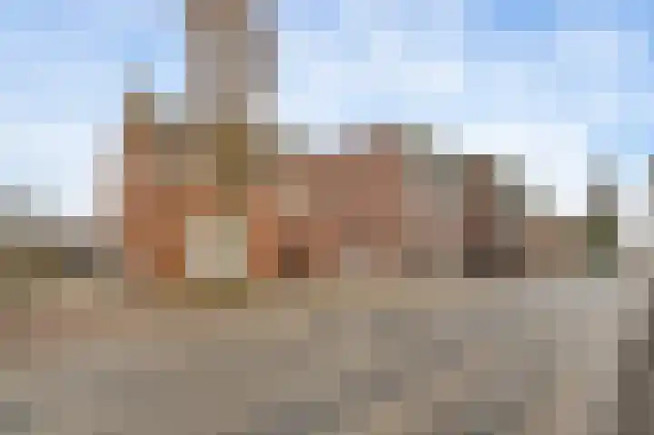 Onze Lieve Vrouwestraat 48 Ospel thumbnail 4