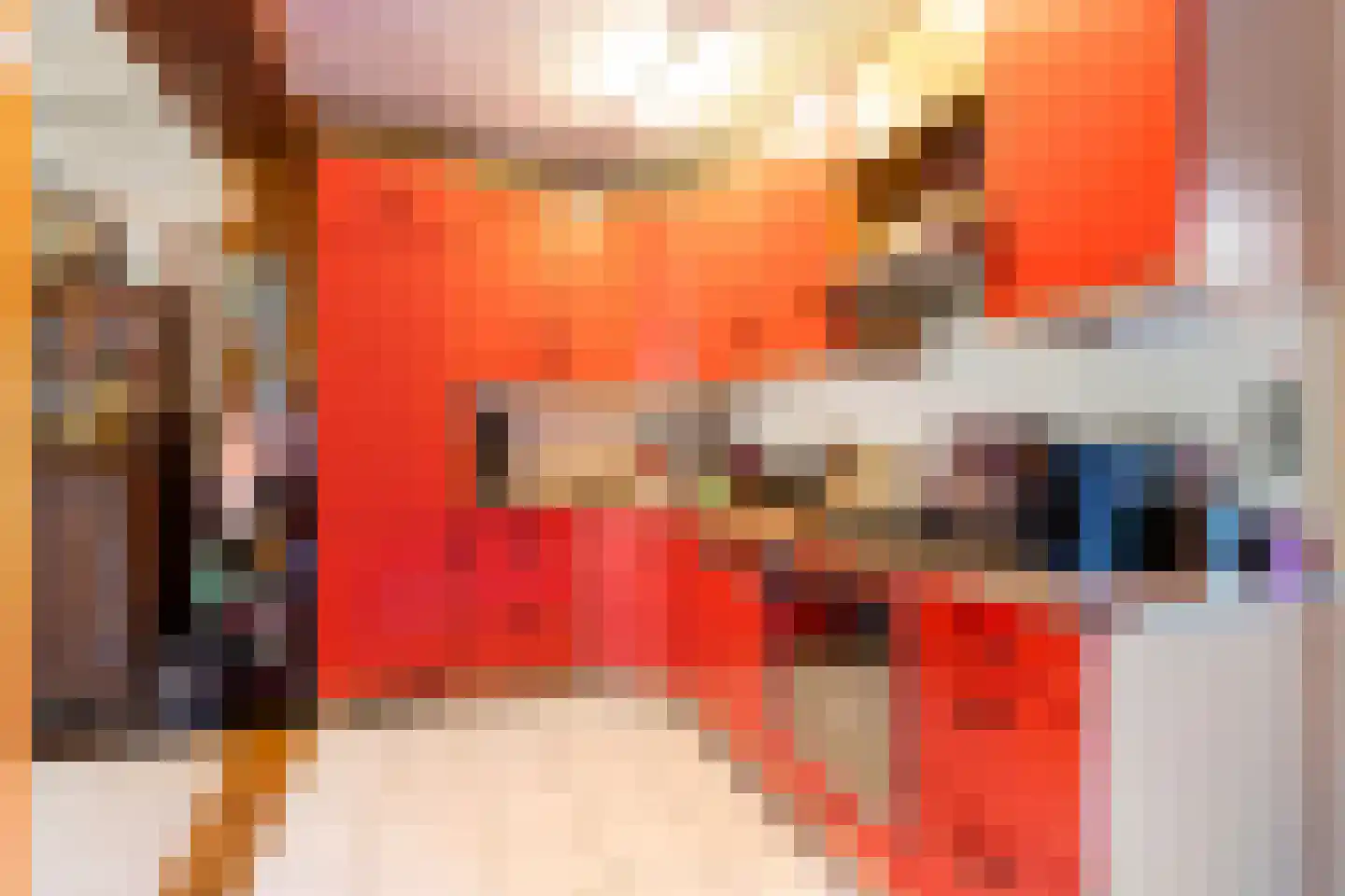 Onze Lieve Vrouwestraat 52 Heteren thumbnail 15