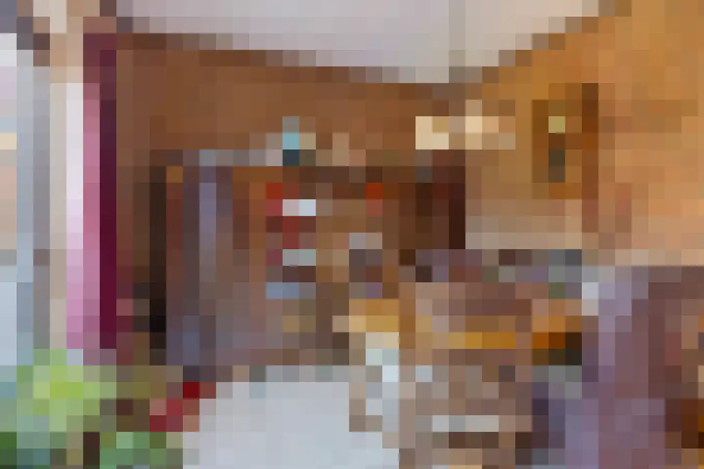 Onze Lieve Vrouwestraat 52 Heteren thumbnail 16