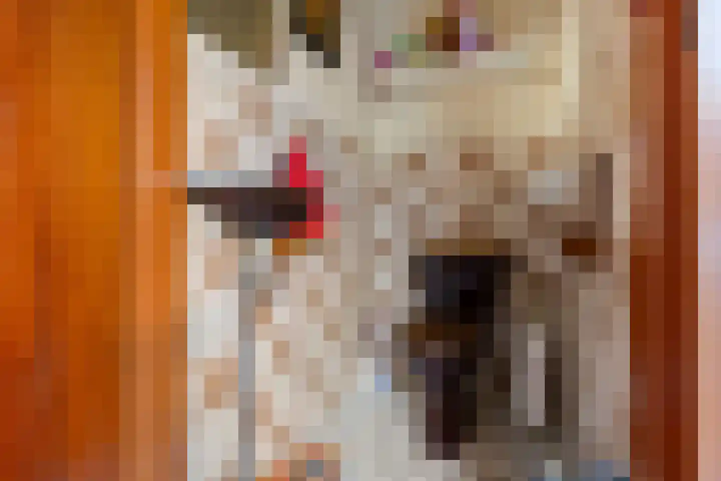 Onze Lieve Vrouwestraat 52 Heteren thumbnail 18