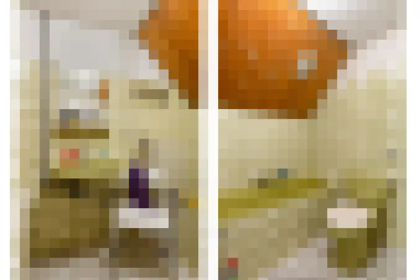 Onze Lieve Vrouwestraat 52 Heteren thumbnail 22
