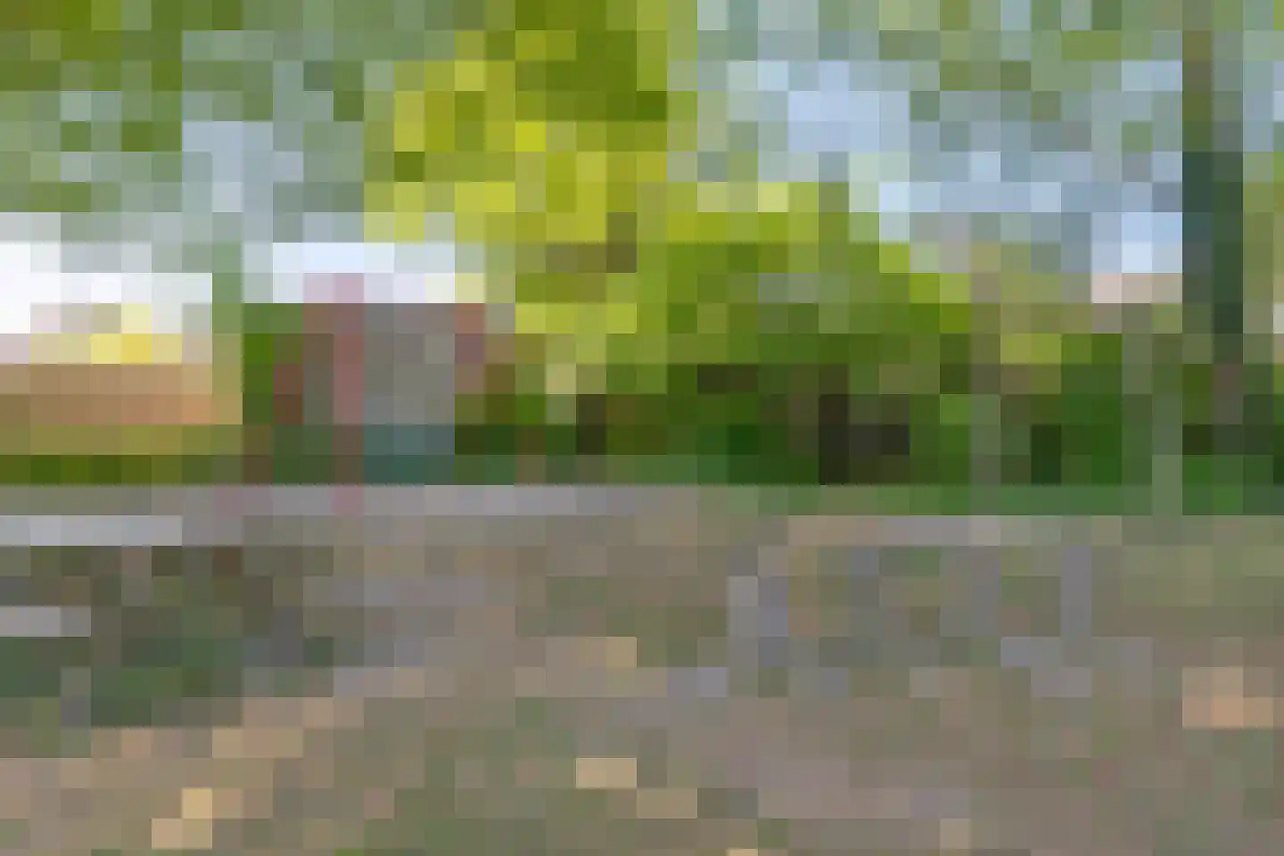 Onze Lieve Vrouwestraat 52 Heteren thumbnail 32