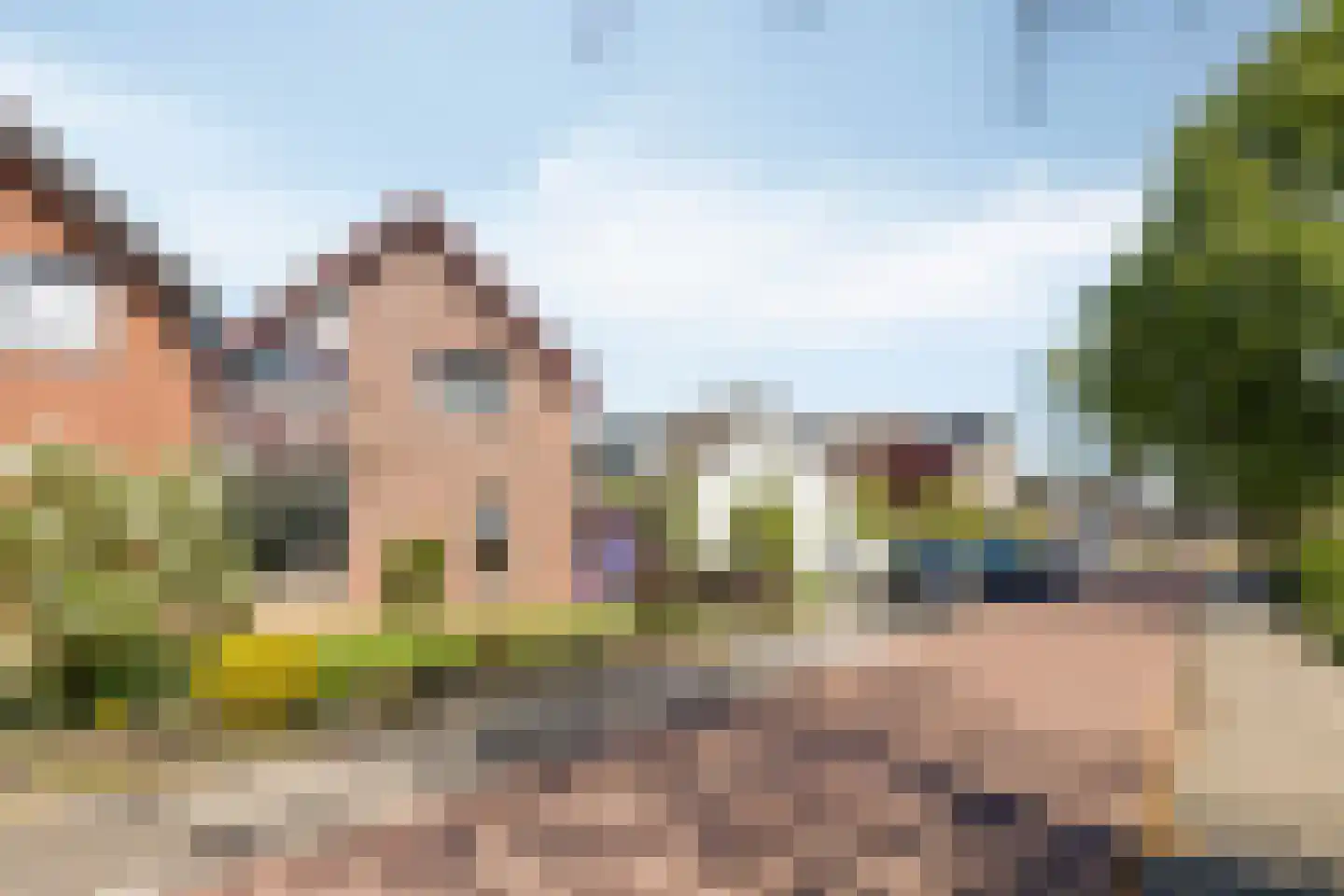 Onze Lieve Vrouwestraat 52 Heteren thumbnail 5