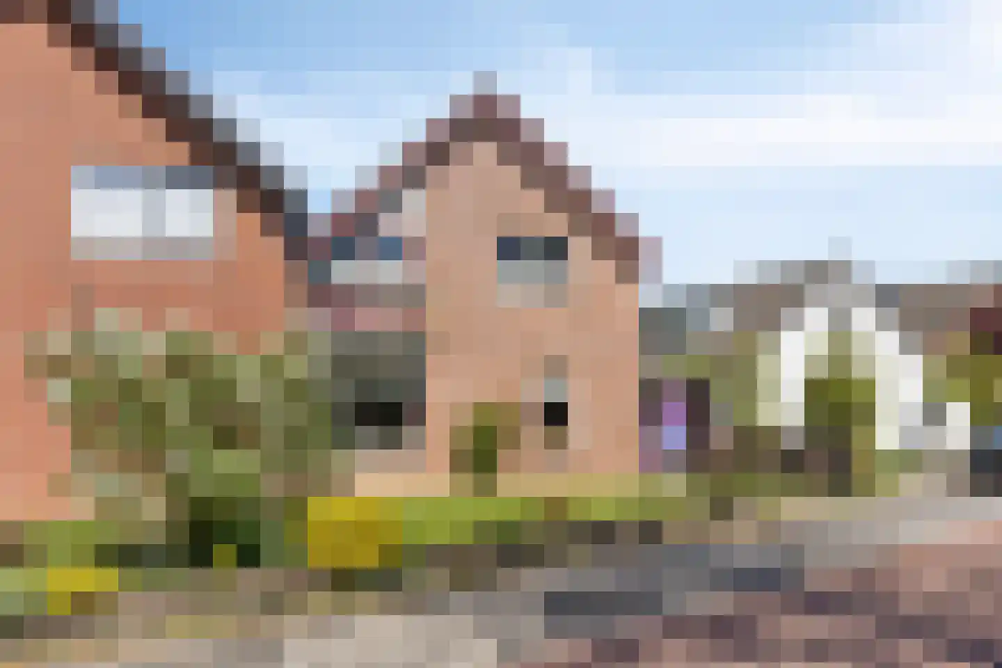 Onze Lieve Vrouwestraat 52 Heteren thumbnail 6