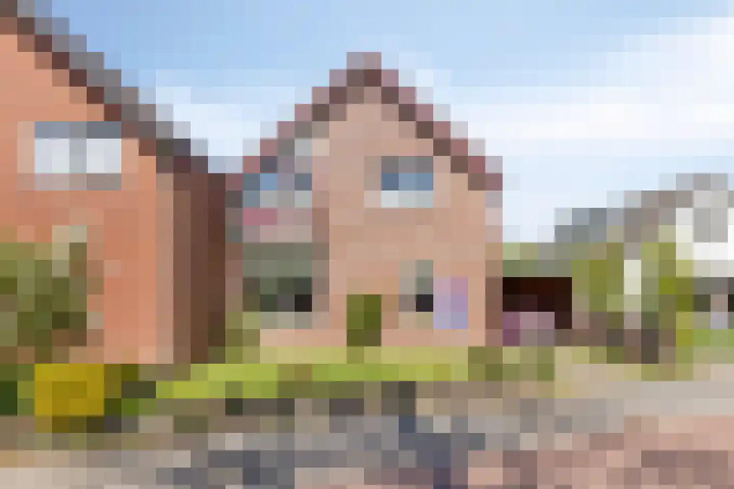 Onze Lieve Vrouwestraat 52 Heteren thumbnail 8