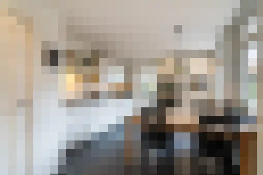 Onze Lieve Vrouwestraat 69 Ospel thumbnail 17