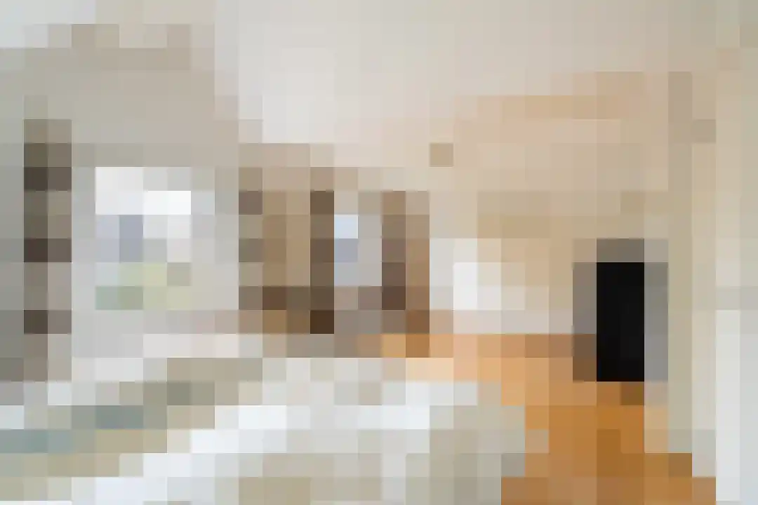 Onze Lieve Vrouwestraat 69 Ospel thumbnail 32