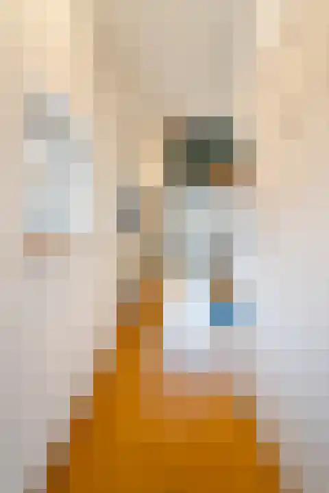 Onze Lieve Vrouwestraat 69 Ospel thumbnail 45