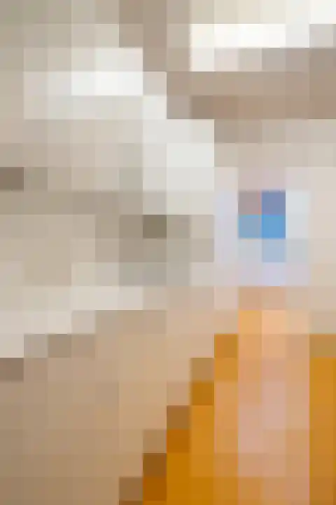 Onze Lieve Vrouwestraat 69 Ospel thumbnail 48