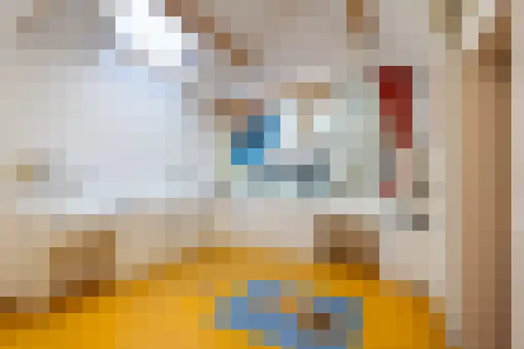 Onze Lieve Vrouwestraat 69 Ospel thumbnail 50