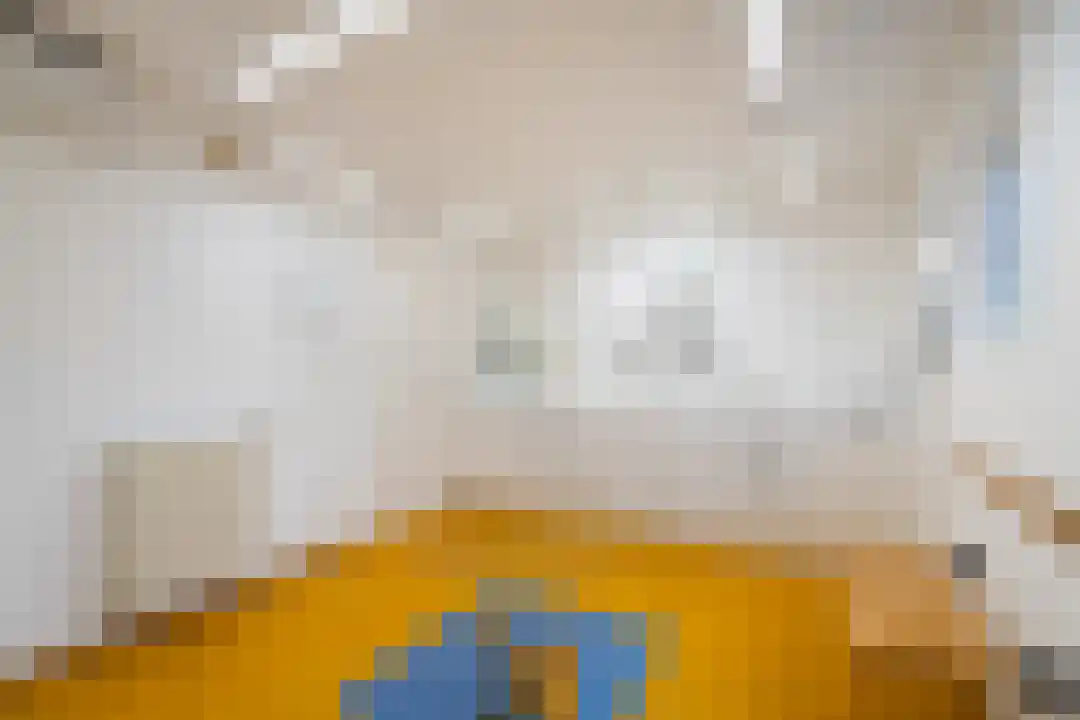 Onze Lieve Vrouwestraat 69 Ospel thumbnail 51