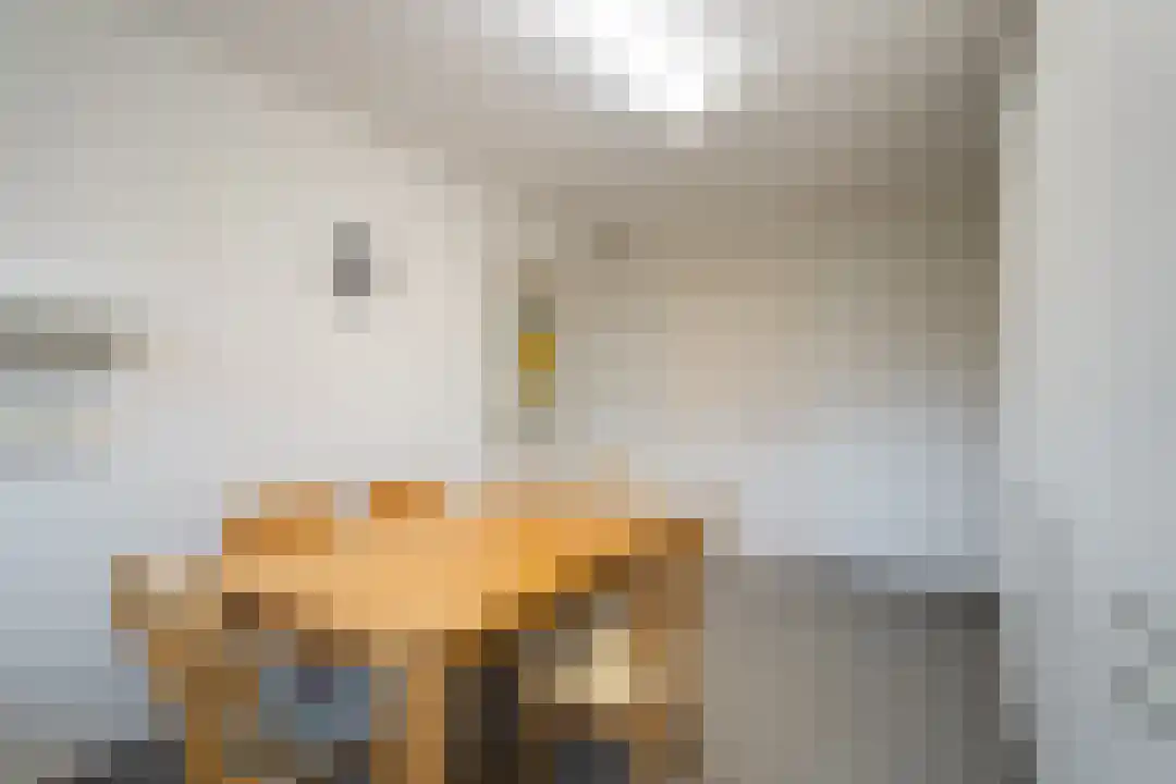 Onze Lieve Vrouwestraat 69 Ospel thumbnail 55
