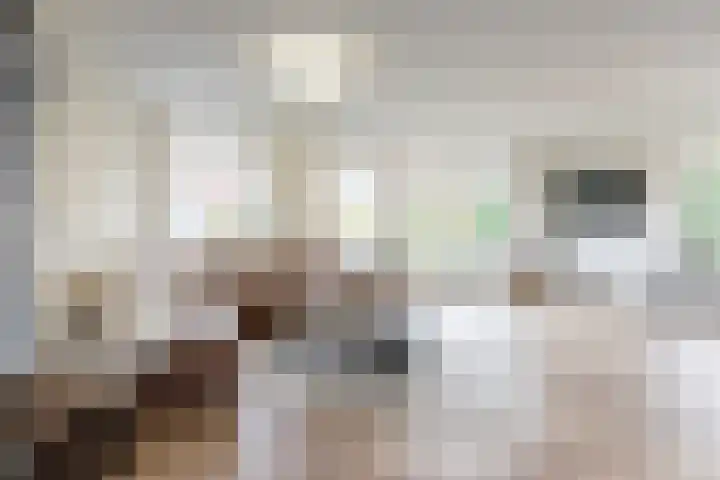 Onze Lieve Vrouwestraat 70 Zegge thumbnail 18