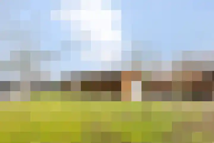 Onze Lieve Vrouwestraat 70 Zegge thumbnail 48
