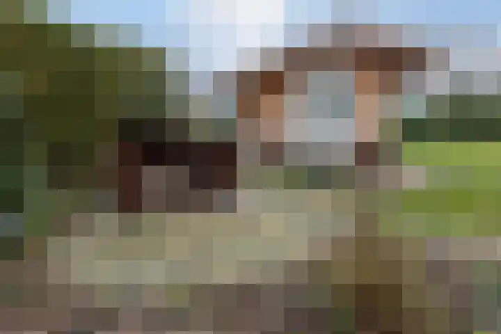 Onze Lieve Vrouwestraat 70 Zegge thumbnail 55