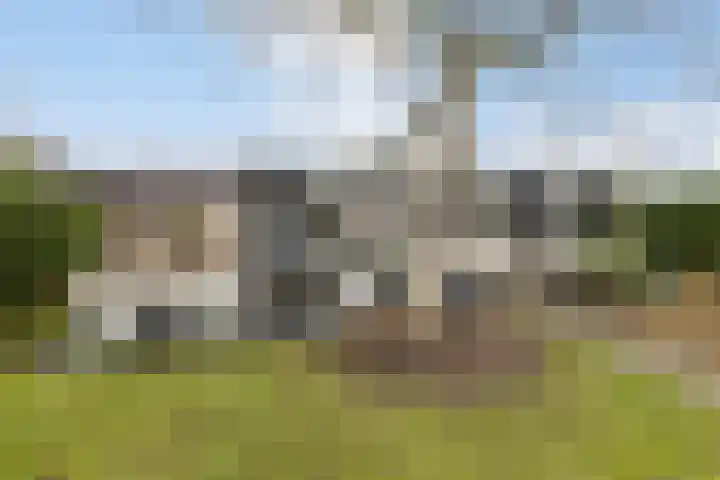 Onze Lieve Vrouwestraat 70 Zegge thumbnail 56