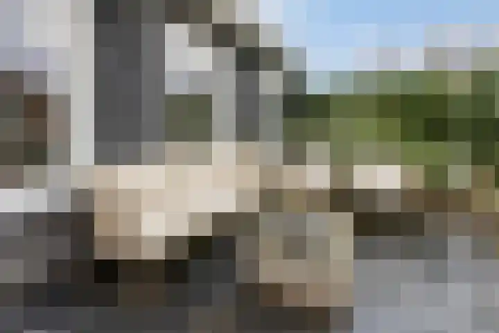 Onze Lieve Vrouwestraat 70 Zegge thumbnail 57