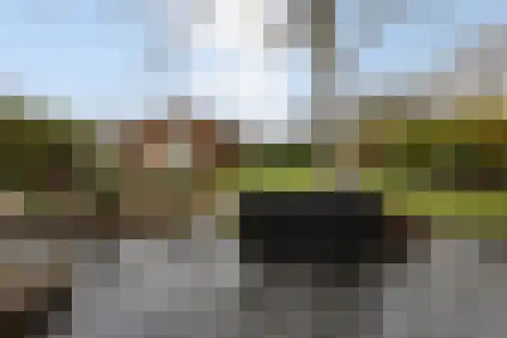 Onze Lieve Vrouwestraat 70 Zegge thumbnail 58