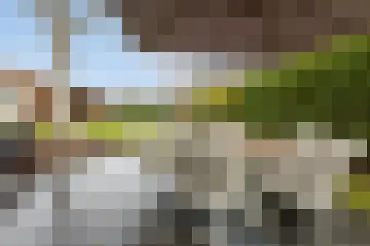 Onze Lieve Vrouwestraat 70 Zegge thumbnail 60