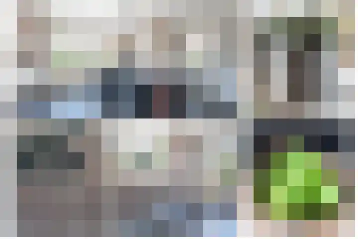 Onze Lieve Vrouwestraat 95 Zegge thumbnail 13