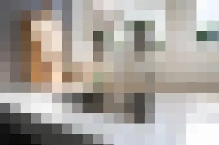 Onze Lieve Vrouwestraat 95 Zegge thumbnail 17
