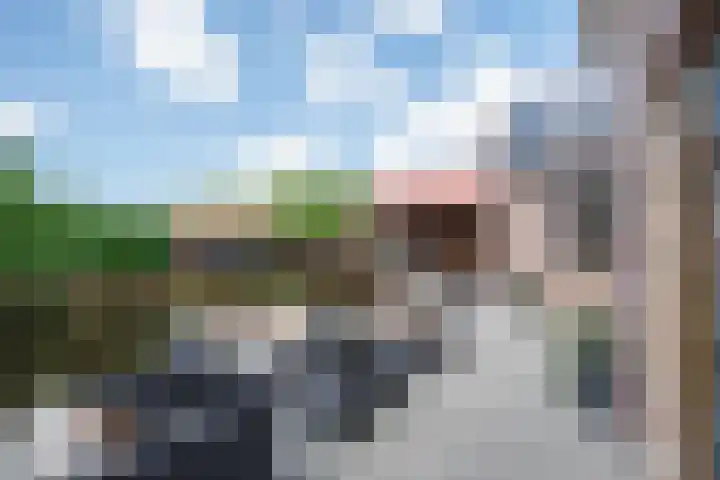 Onze Lieve Vrouwestraat 95 Zegge thumbnail 27