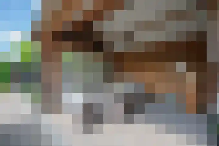 Onze Lieve Vrouwestraat 95 Zegge thumbnail 28