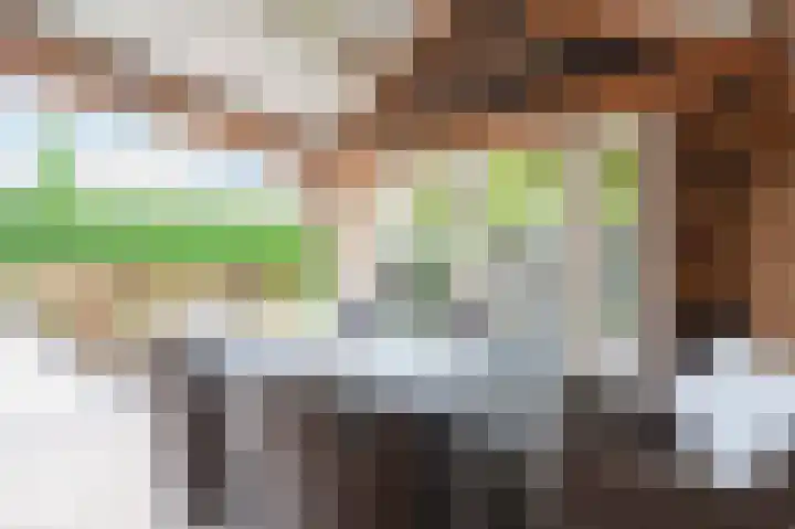 Onze Lieve Vrouwestraat 95 Zegge thumbnail 29
