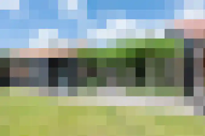 Onze Lieve Vrouwestraat 95 Zegge thumbnail 31