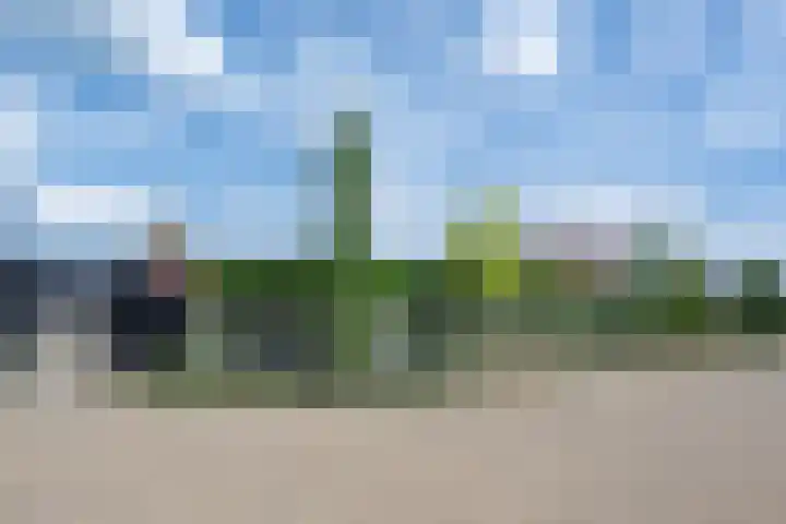 Onze Lieve Vrouwestraat 95 Zegge thumbnail 35