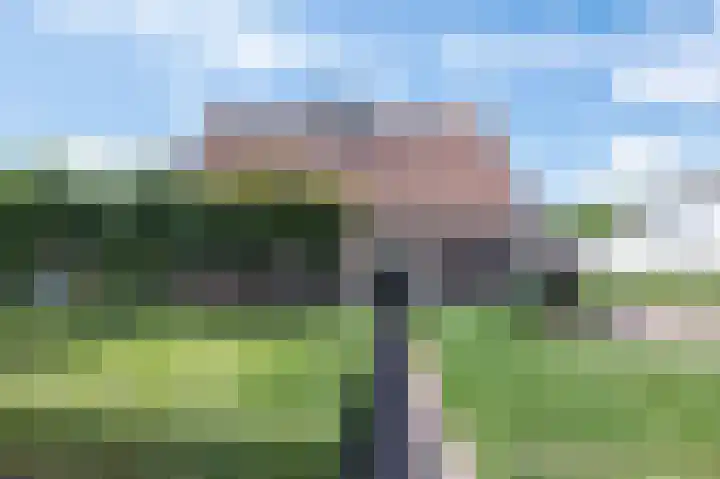 Onze Lieve Vrouwestraat 95 Zegge thumbnail 4