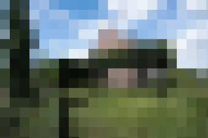 Onze Lieve Vrouwestraat 95 Zegge thumbnail 5