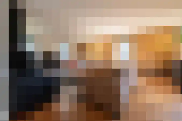 Onze Lieve Vrouwestraat 95 Zegge thumbnail 9