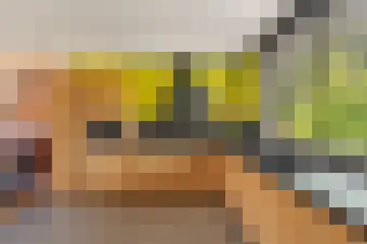 Onzenoord 29 Rotterdam thumbnail 10