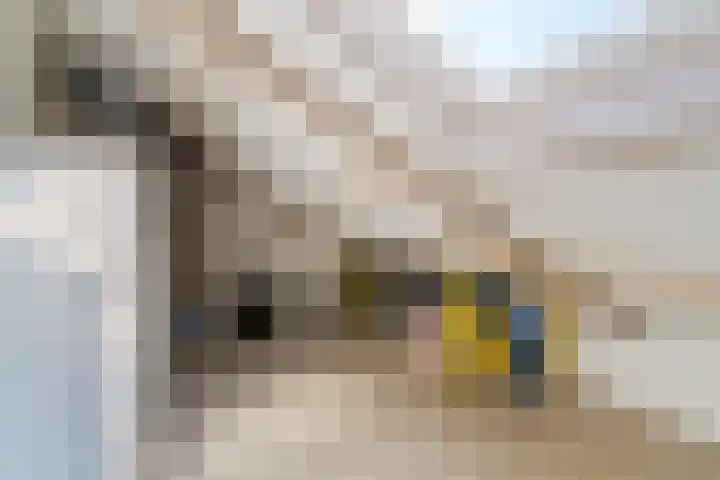Onzenoord 29 Rotterdam thumbnail 26