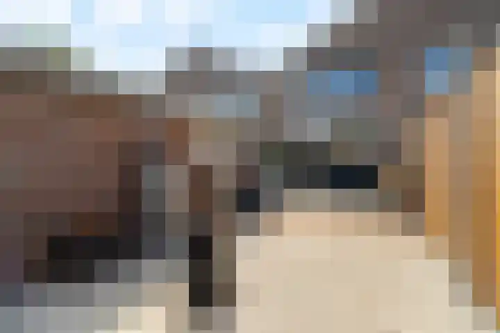 Onzenoord 29 Rotterdam thumbnail 31