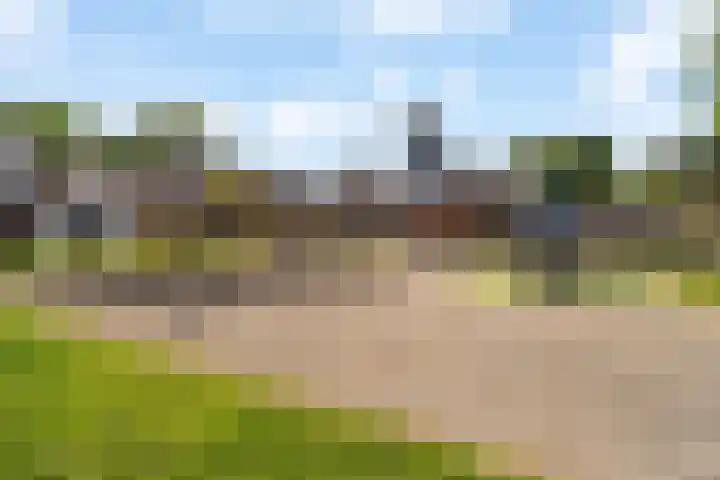 Onzenoord 29 Rotterdam thumbnail 32