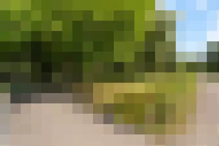 Onzenoord 29 Rotterdam thumbnail 34