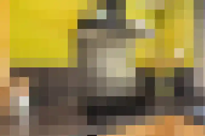 Onzenoord 29 Rotterdam thumbnail 8