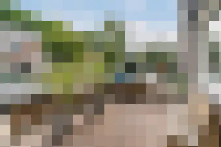 Onzenoord 3 Rotterdam thumbnail 31