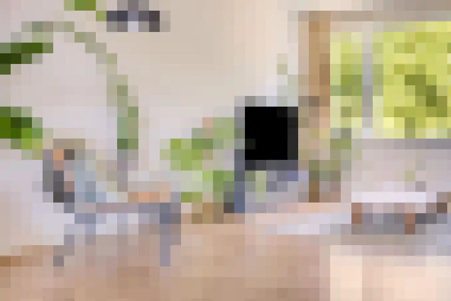 Ooftmengersdreef 25 C Maastricht thumbnail 13